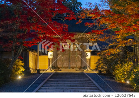 Koyasan Kongobu-ji Temple main gate autumn leaves light up 120527642