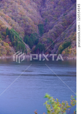 Autumn foliage at Tokuyama Dam Lake in late autumn 120554545