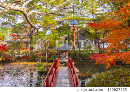 Koyasan Daishi Church Headquarters: Yuzu Benzaiten surrounded by autumn leaves 120627265