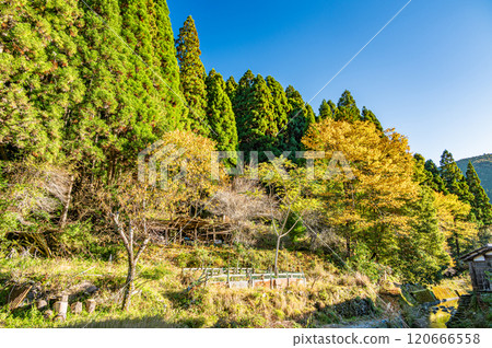 Autumnal scenery of Kurama mountain forest, Kyoto City 120666558