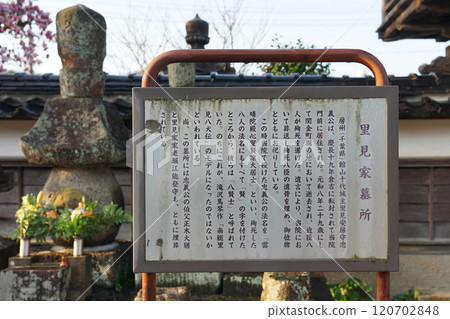 Satomi family graveyard guide board: Daigaku-in Temple, connected to the Nanso Satomi Hakkenden (Kurayoshi City, Tottori Prefecture) 120702848