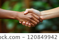 A diverse pair of hands engaged in a handshake, representing unity and collaboration in a lush environment 120849942