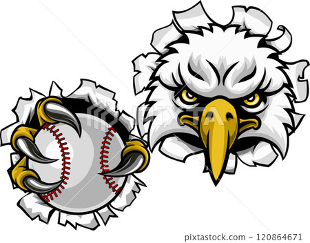 Eagle Hawk Baseball Softball Bald Eagles Mascot 120864671