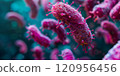 Detailed view of pink bacteria floating in water 120956456