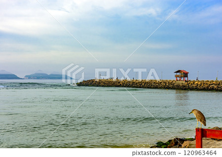 Breakwater and canal 120963464