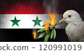 Syria Crisis 120991019