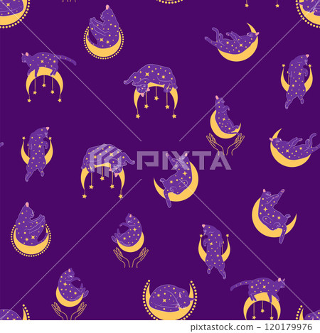 Mystical seamless pattern of cats in boho style, silhouette collection. Witchcraft and magic. Esotericism 120179976