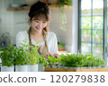 Woman gardening houseplants 120279838