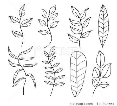 Botanical leaf and branches outline sketch hand - drawn collection. Vector illustration 120298665