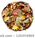 Bag Of Autumn Leaves 120354969