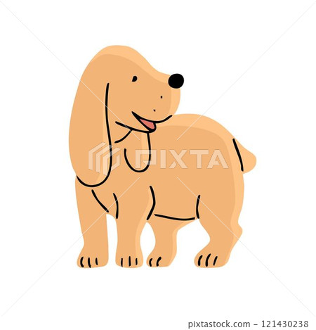 Cute spaniel dog on white background 121430238