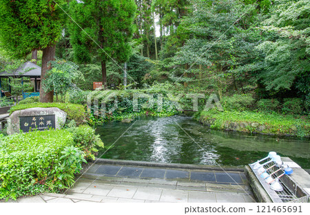 Aso City, Kumamoto Prefecture: The famous Shirakawa spring, filled with pure water 121465691