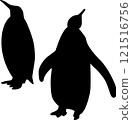 Penguin Silhouette 121516756