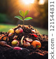 Sapling sprouting from a mound of soil mixed with decomposing fruits and seeds. Process of composting and plant growth from rotten fertilizer decomposing ground. Organic horticulture concept 121544831