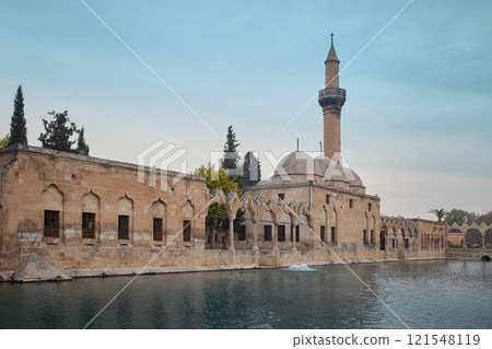 Fish lake and Rizvaniye mosque in Sanliurfa old town, Turkey 121548119