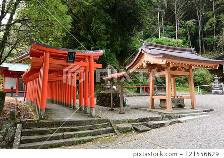 Imayama Yasaka Inari Shrine 121556629