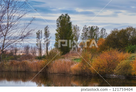 Colorful autumn forest trees by a river. Beautiful nature landscape of a lake with calm water near lush tree foliage and bushes. Biodiverse forestry with bright yellow, orange and green color leaves 121759404