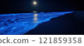 Blue night sea with waves and moon in the background 121859358