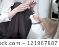 A middle-aged woman playing with a cat 121967887