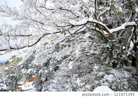 日本南部九州長崎的雪景 121971395