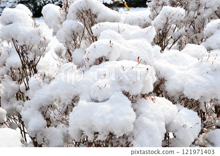 日本南部九州長崎的雪景 121971403