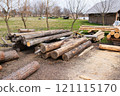 Stacked timber logs arranged in a rural area, surrounded by bare trees and grass, with a nearby barn in the background 121115170