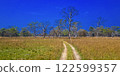 Grasslands and Forest, Royal Bardia National Park, Nepal 122599357