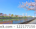 Spring in Nagoya, Aichi Prefecture, with cherry blossoms in full bloom and the Nagoya International Conference Center 122177150