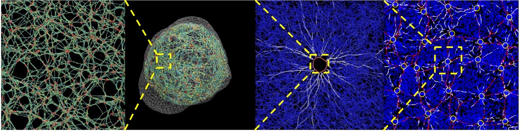 Read more: MCT Biomechanics Laboratory - Tanyoon Kim