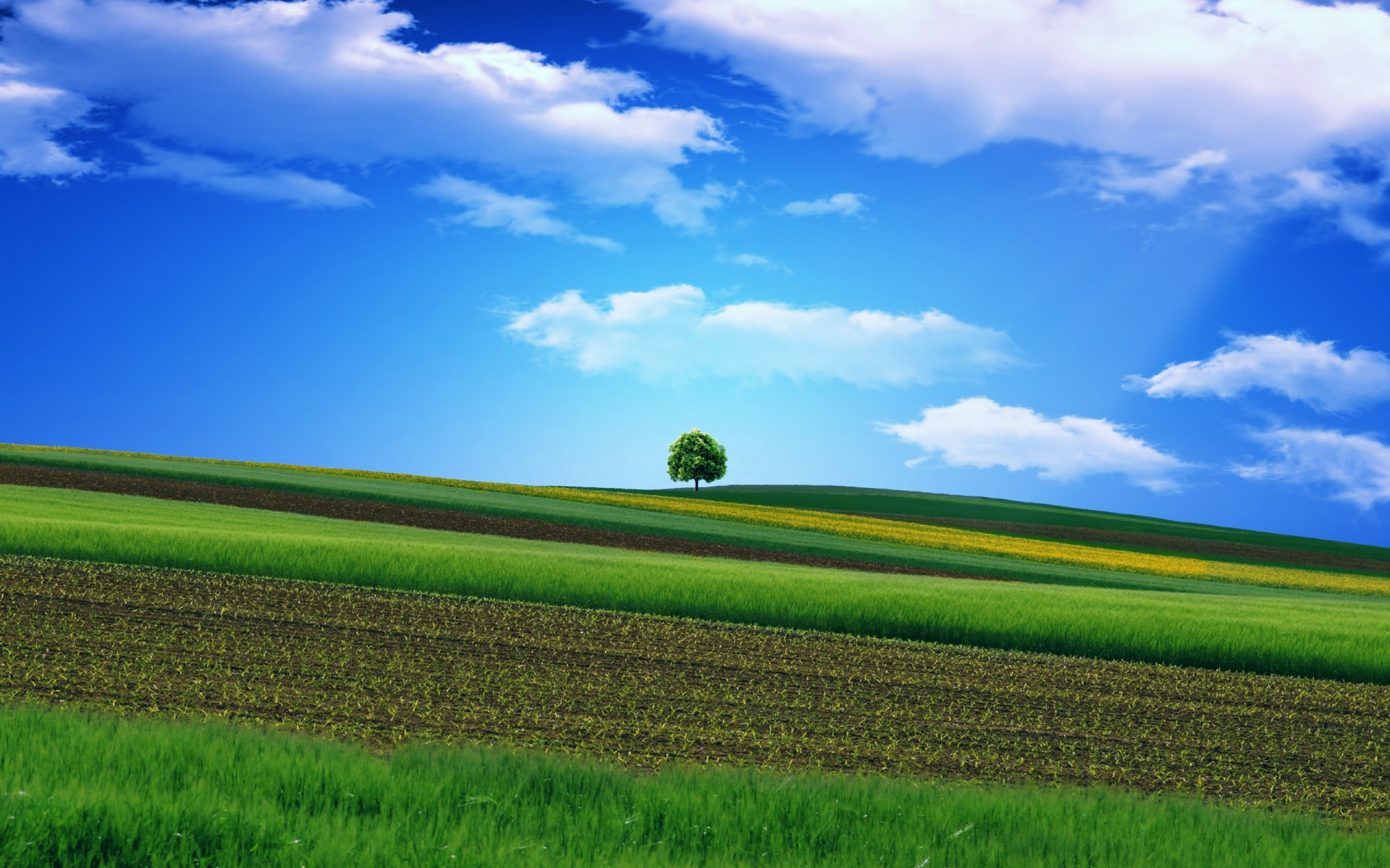 Green Landscape wallpaper