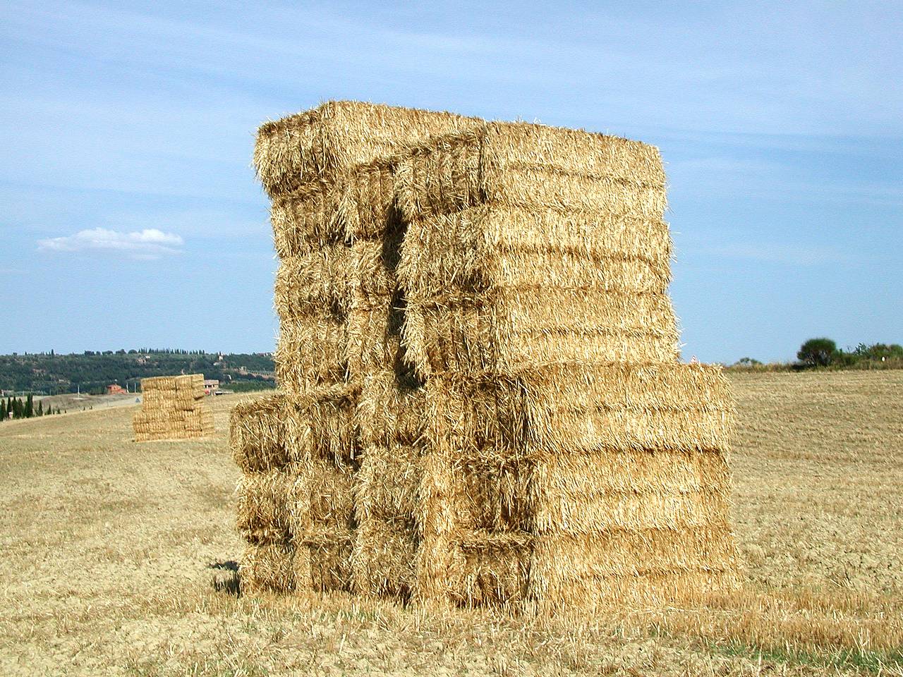 With winter approaching, most livestock producers have already purchased winter hay supplies, but did they purchase enough hay that meets the nutritional ...