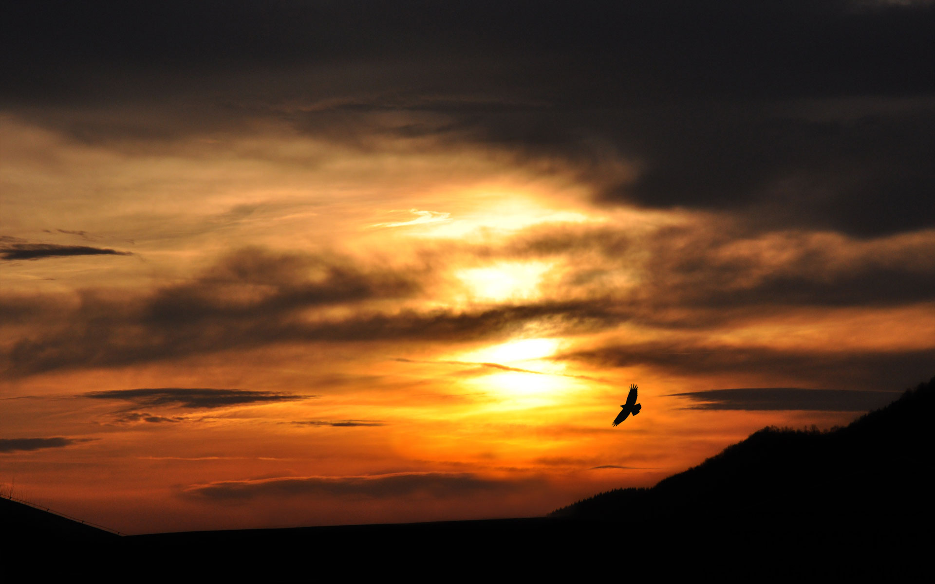 Sunset Silhouette