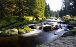 Mountain stream