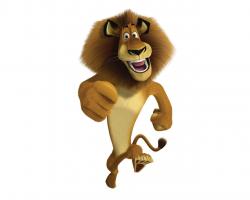 Madagascarlion3