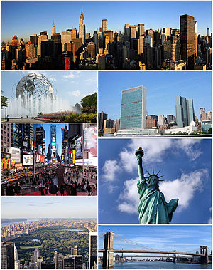 NYC Montage 2011.jpg