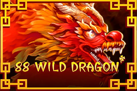 logo 88 wild dragon booongo 