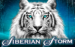 logo siberian storm igt 