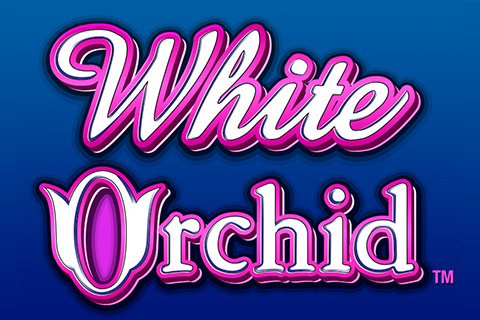 logo white orchid igt 