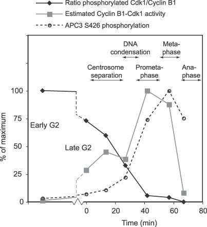 An external file that holds a picture, illustration, etc.
Object name is pbio.0050123.g004.jpg