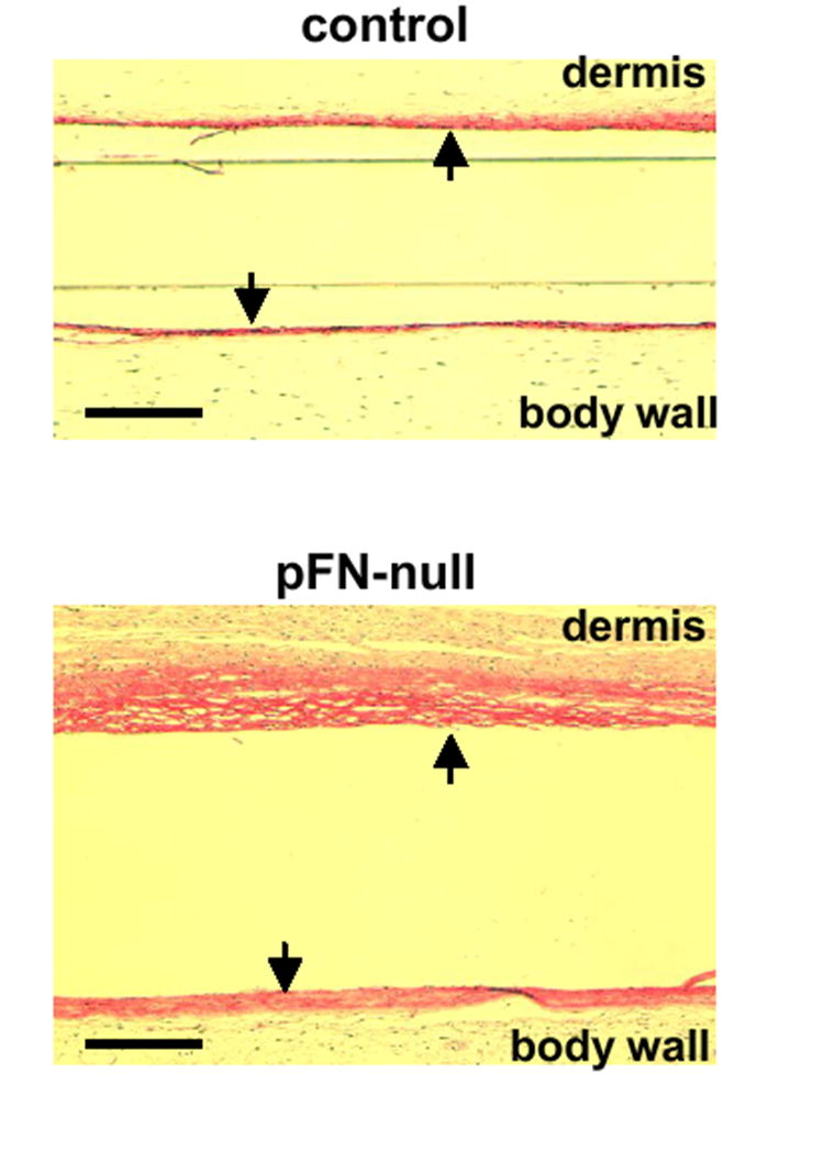 An external file that holds a picture, illustration, etc.
Object name is nihms25978f5.jpg