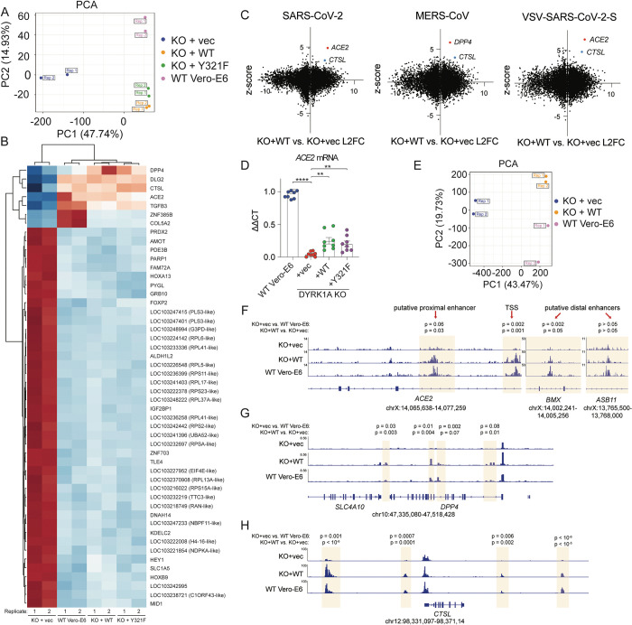 An external file that holds a picture, illustration, etc.
Object name is pbio.3002097.g004.jpg