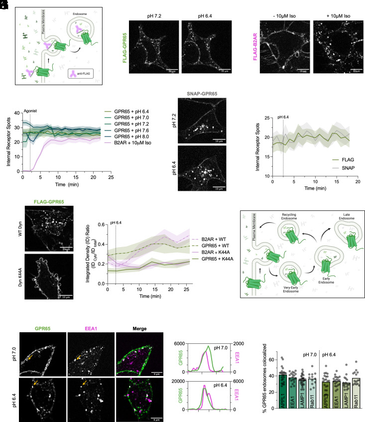 An external file that holds a picture, illustration, etc.
Object name is pnas.2302823120fig02.jpg