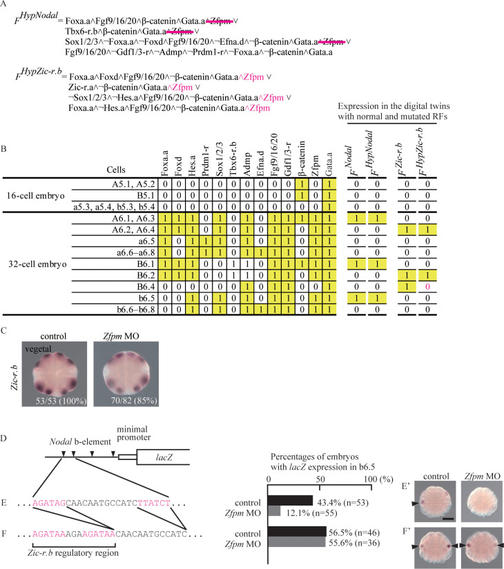 An external file that holds a picture, illustration, etc.
Object name is pgen.1010953.g005.jpg