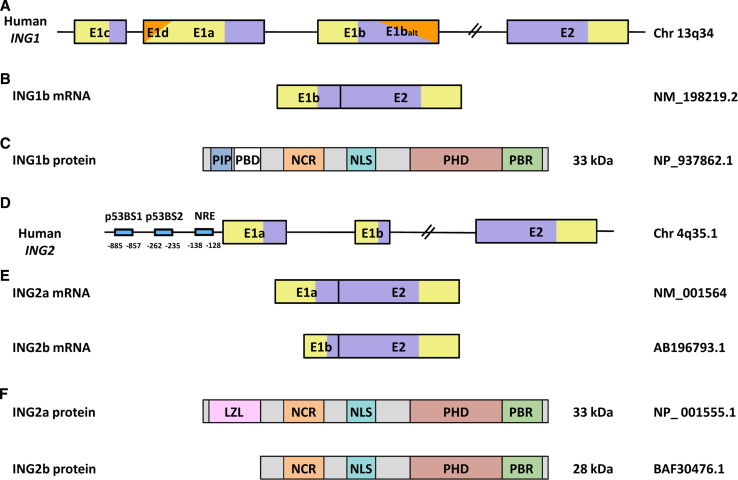 An external file that holds a picture, illustration, etc.
Object name is 18_2013_1270_Fig1_HTML.jpg