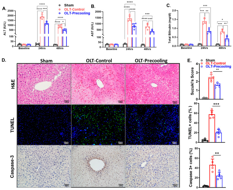 An external file that holds a picture, illustration, etc.
Object name is biomedicines-12-01475-g004.jpg