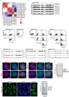 Extended Data Fig. 4