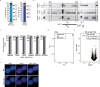 Extended Data Fig. 2