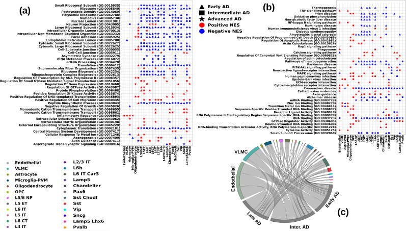 An external file that holds a picture, illustration, etc.
Object name is eneuro-11-ENEURO.0118-24.2024-g006.jpg