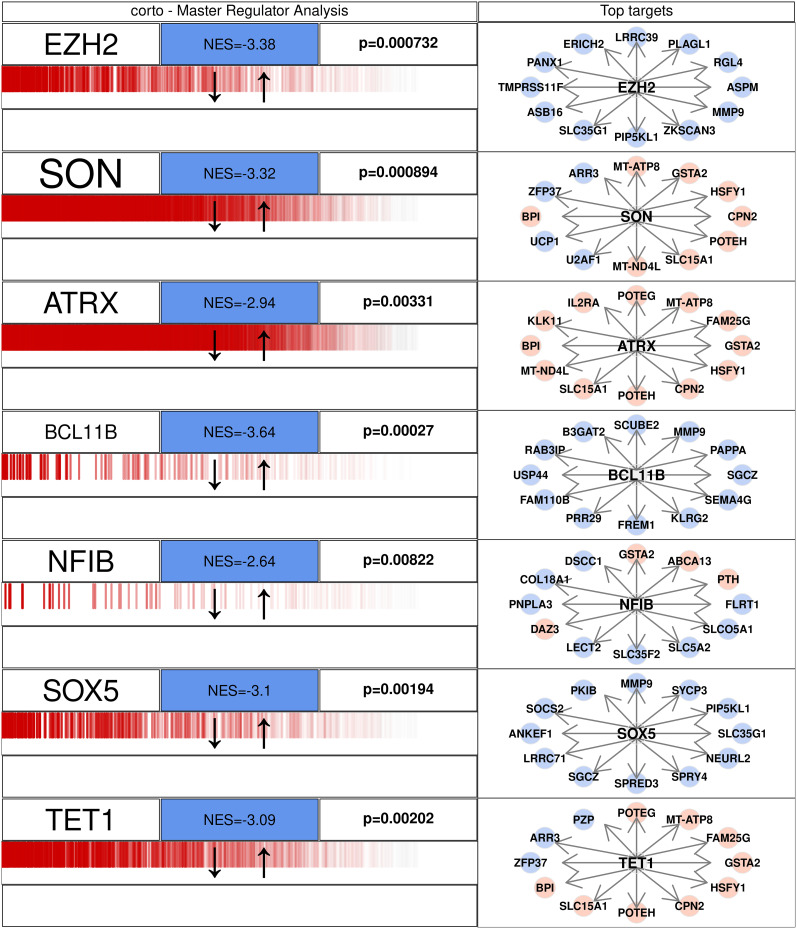 An external file that holds a picture, illustration, etc.
Object name is eneuro-11-ENEURO.0118-24.2024-g011.jpg