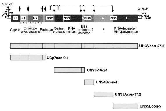 An external file that holds a picture, illustration, etc.
Object name is jv1222429001.jpg